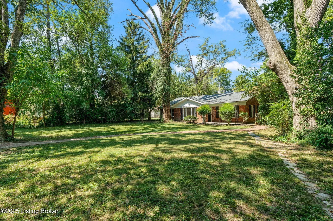 Rear yard view
