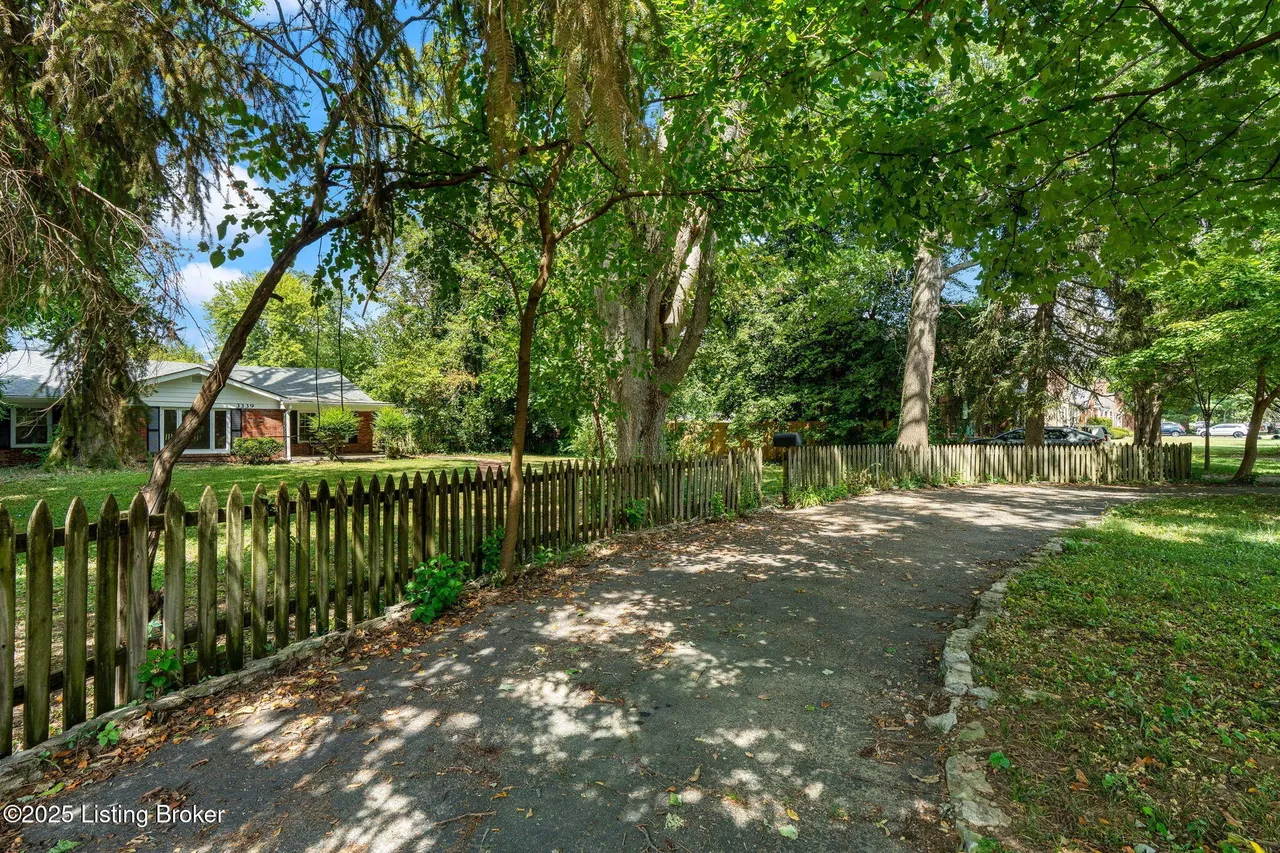 Driveway and fence